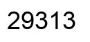 Número 29313 imagen negro