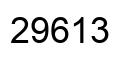 Número 29613 imagen negro