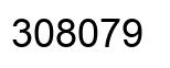 Number 308079 black image