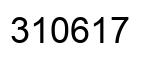 Number 310617 black image
