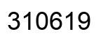 Número 310619 imagen negro