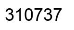 Número 310737 imagen negro