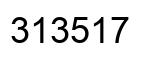 Number 313517 black image