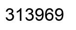 Number 313969 black image