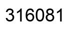 Number 316081 black image