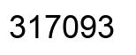Number 317093 black image