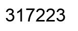 Number 317223 black image