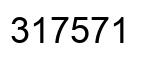 Number 317571 black image