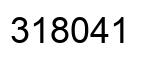 Number 318041 black image