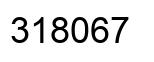 Number 318067 black image