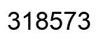 Number 318573 black image