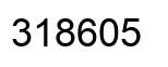 Number 318605 black image