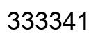 Number 333341 black image