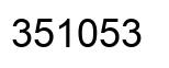 Number 351053 black image