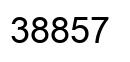 Número 38857 imagen negro