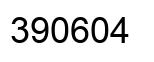 Number 390604 black image
