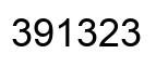 Number 391323 black image