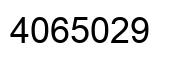 Number 4065029 black image