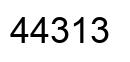 Número 44313 imagen negro