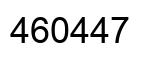 Number 460447 black image