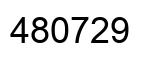 Number 480729 black image
