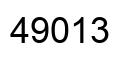Número 49013 imagen negro