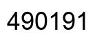 Number 490191 black image