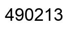 Number 490213 black image