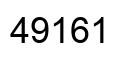 Number 49161 black image