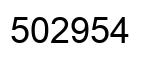 Number 502954 black image