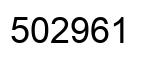 Number 502961 black image