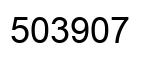 Number 503907 black image