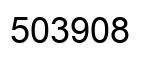 Number 503908 black image