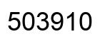 Number 503910 black image