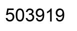 Number 503919 black image