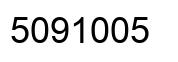 Number 5091005 black image