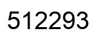 Number 512293 black image