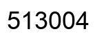 Number 513004 black image
