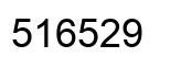 Number 516529 black image