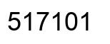 Number 517101 black image