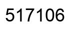 Number 517106 black image