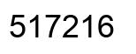 Number 517216 black image