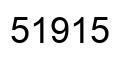 Número 51915 imagen negro