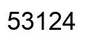 Número 53124 imagen negro