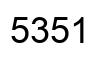 Number 5351 black image