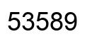 Número 53589 imagen negro