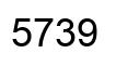 Número 5739 imagen negro