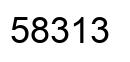 Número 58313 imagen negro