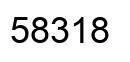 Number 58318 black image