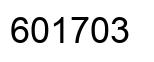 Number 601703 black image